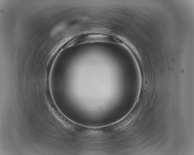 X0000085790437200703161128