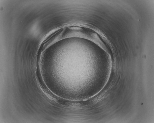 X0000085790438200703161128