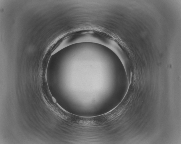 X0000085790440200703161128