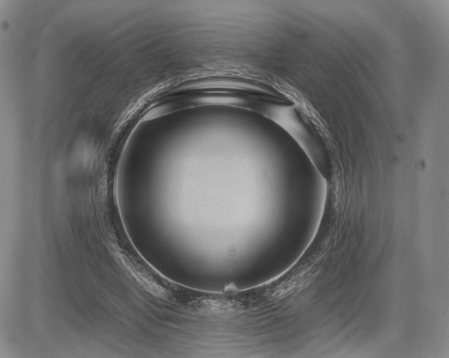 X0000085790442200703161128