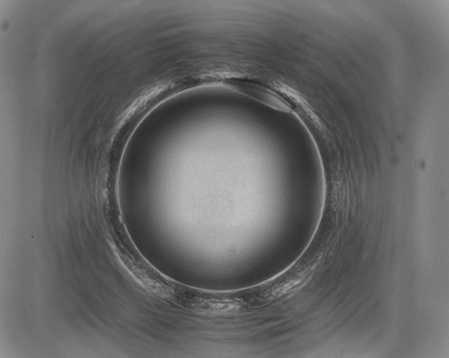 X0000085790443200703161128