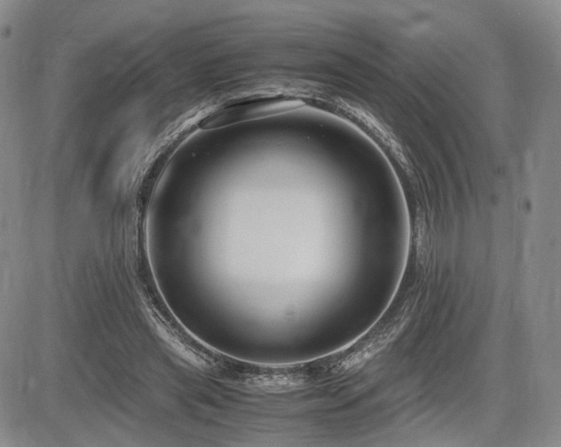X0000085790445200703161128