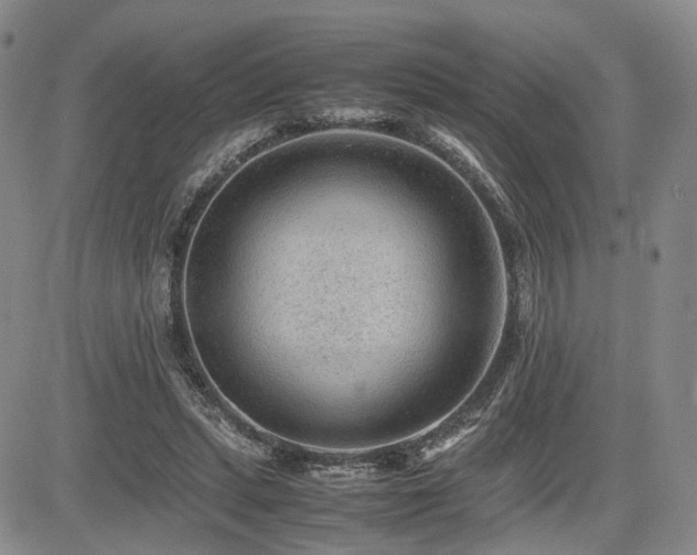 X0000085790447200703161128