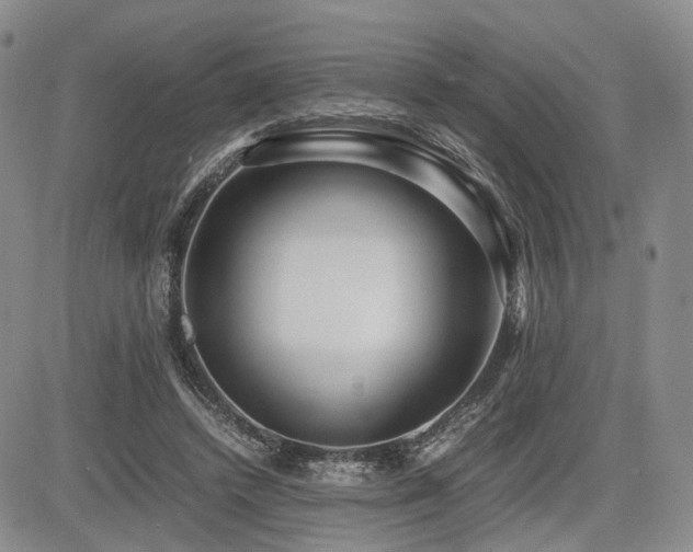 X0000085790448200703161128