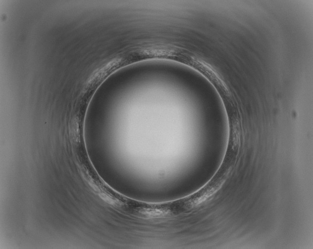 X0000085790453200703161128