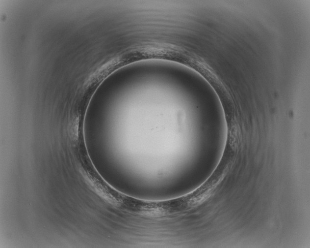 X0000085790454200703161128