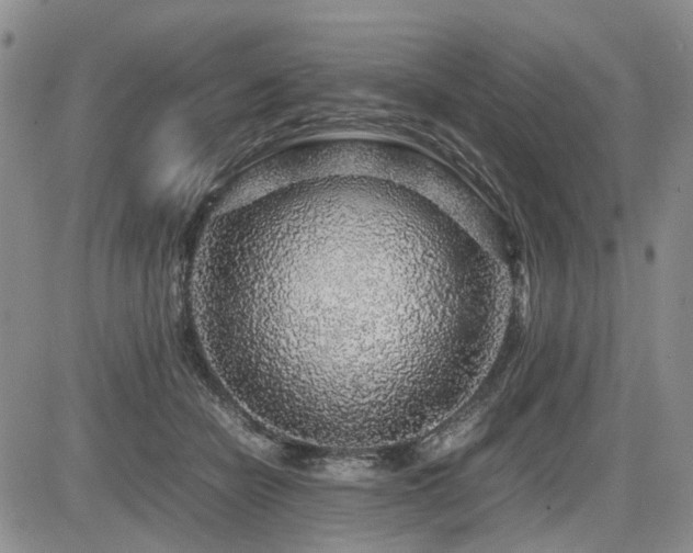 X0000085790462200703161128