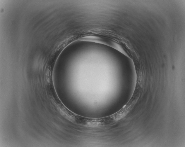X0000085790470200703161128