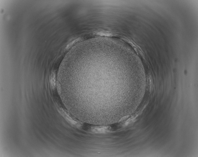 X0000085790479200703161128