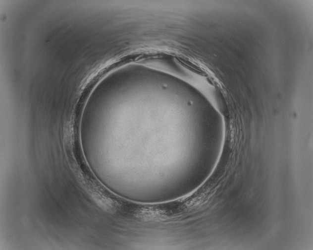 X0000085790487200703161128
