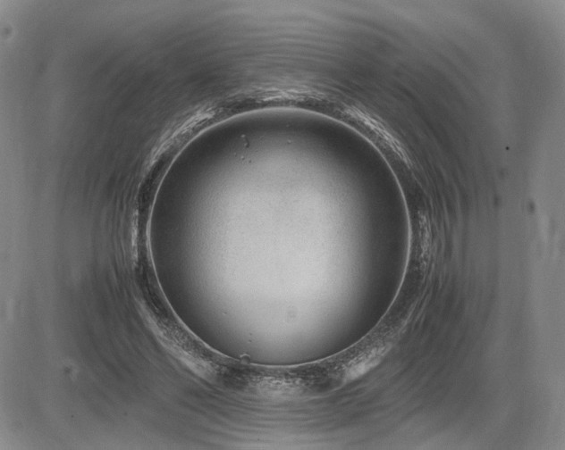 X0000085790494200703161127