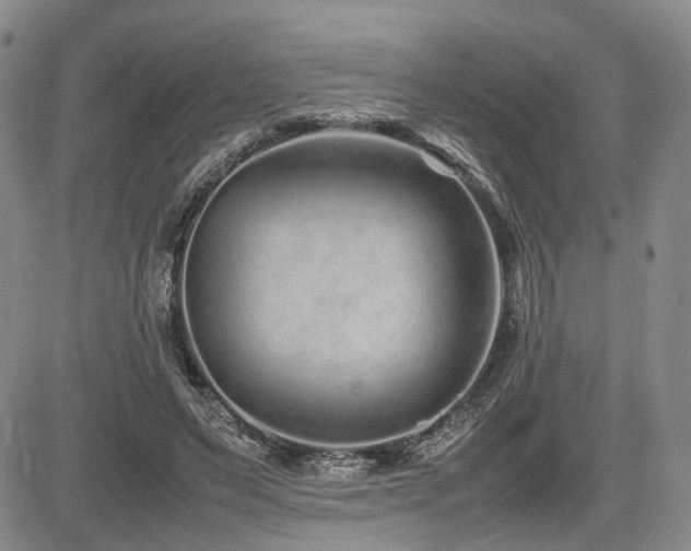 X0000085790495200703161127