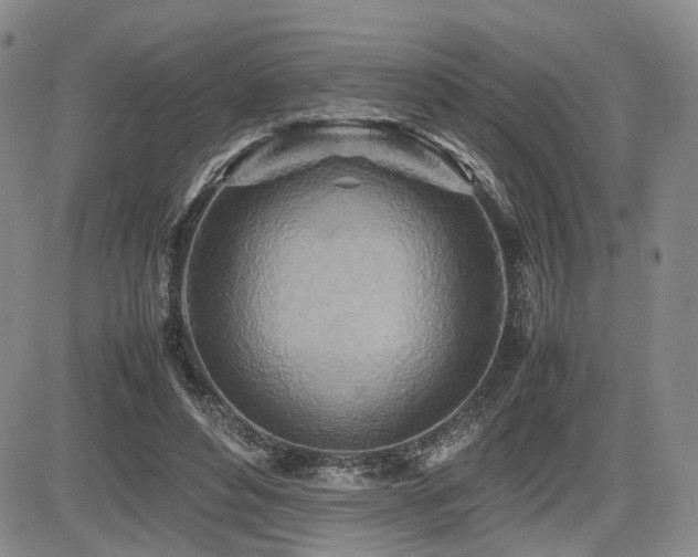 X0000085790496200703161127
