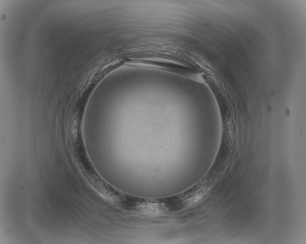 X0000085790499200703161127