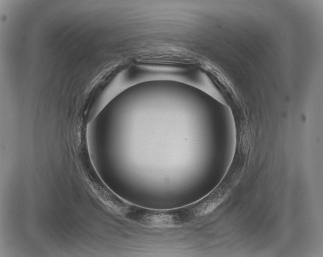 X0000085790501200703161127