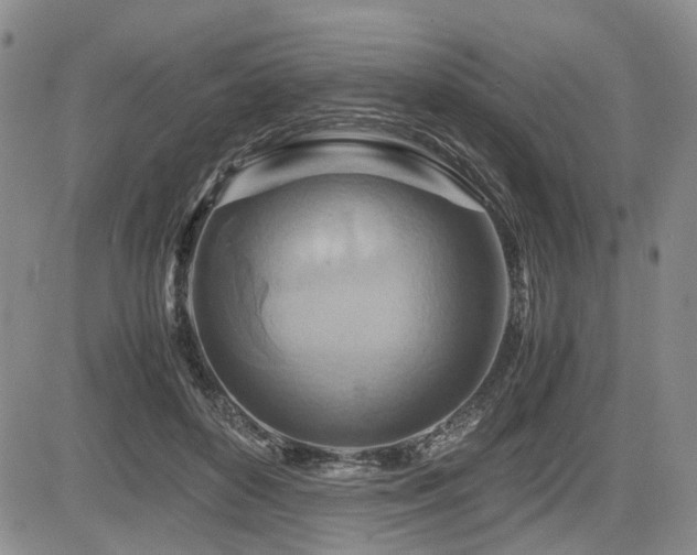 X0000085790504200703161127