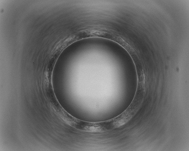 X0000085790506200703161127