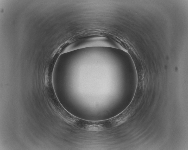 X0000085790508200703161127