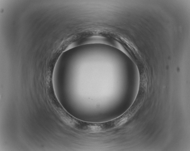 X0000085790509200703161127