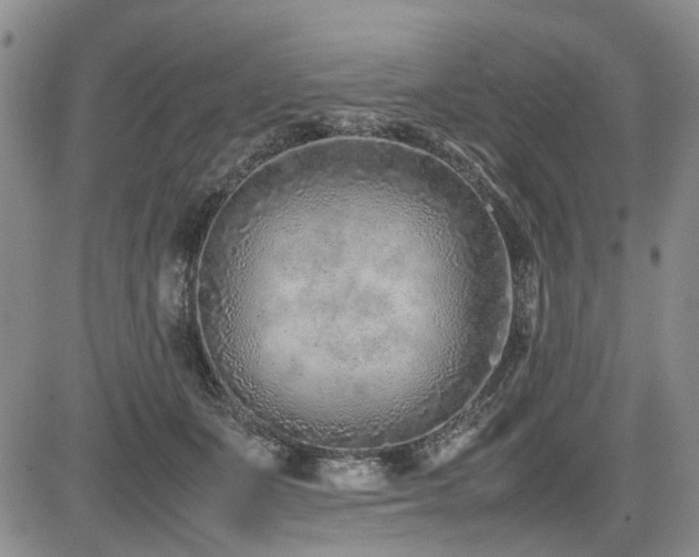 X0000085790511200703161127