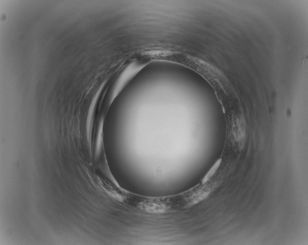 X0000085790512200703161127