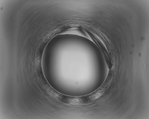 X0000085790513200703161127