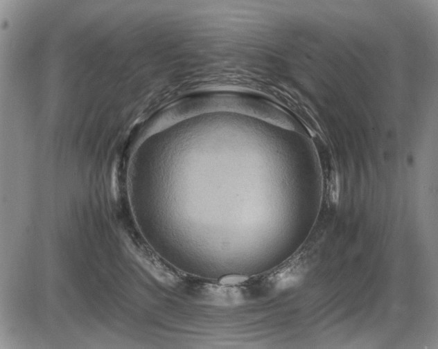 X0000085790520200703161127