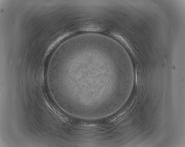 X0000085790531200703161126