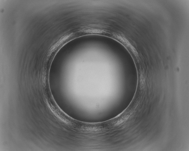 X0000085790533200703161126