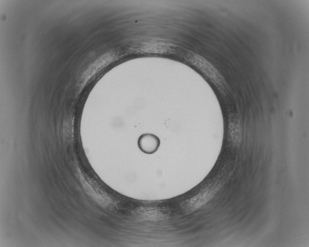 X0000085790534200703161126