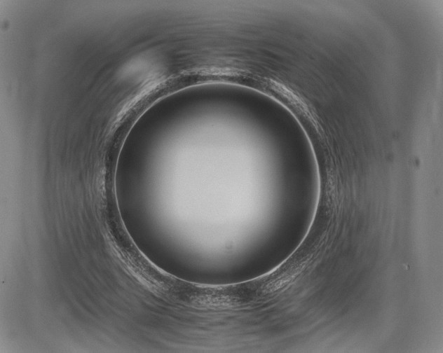 X0000085790535200703161126