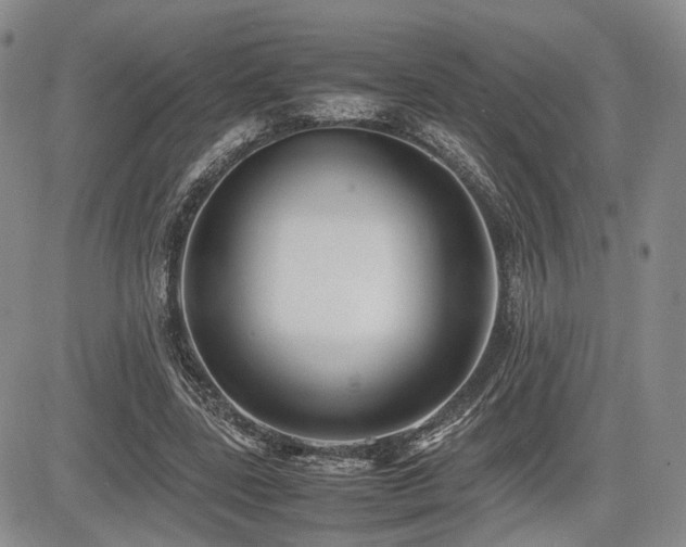 X0000085790539200703161126
