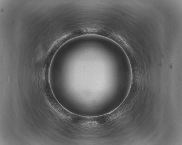 X0000085790543200703161126