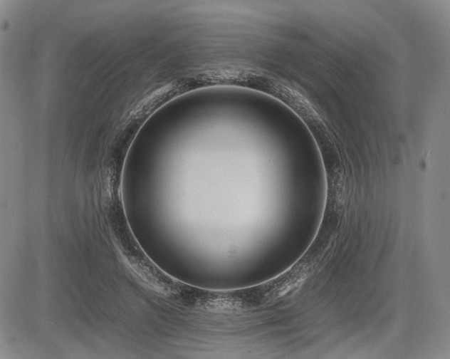 X0000085790546200703161126