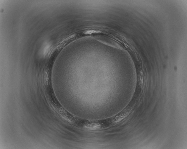 X0000085790551200703161126