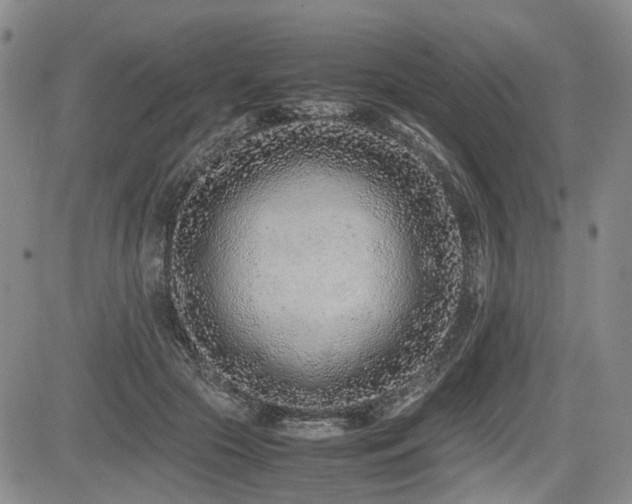 X0000085790553200703161126