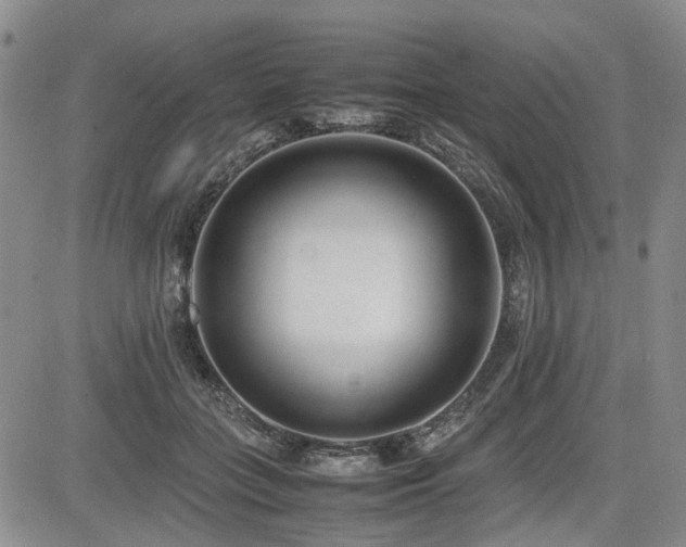 X0000085790555200703161126