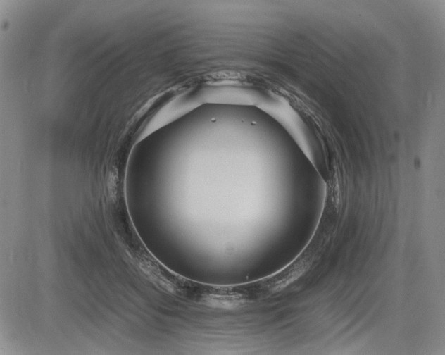 X0000085790556200703161126