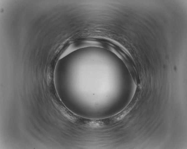 X0000085790566200703161127
