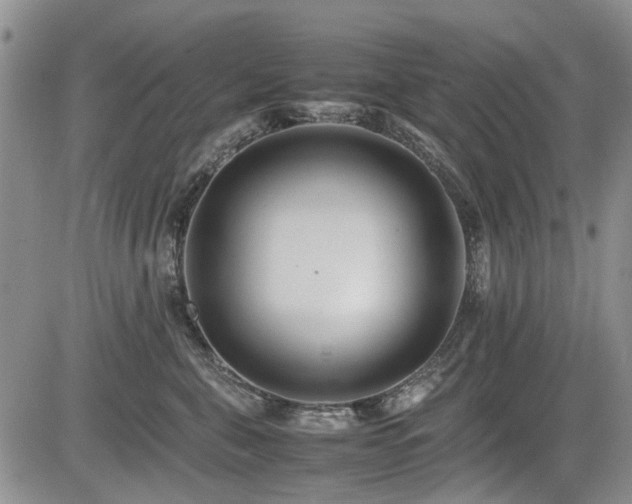 X0000085790571200703161127