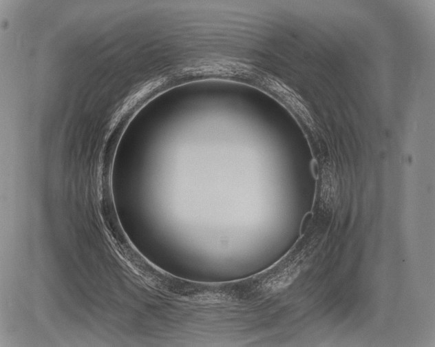 X0000085790578200703161126