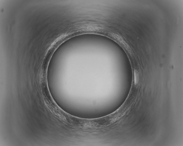 X0000085790579200703161126