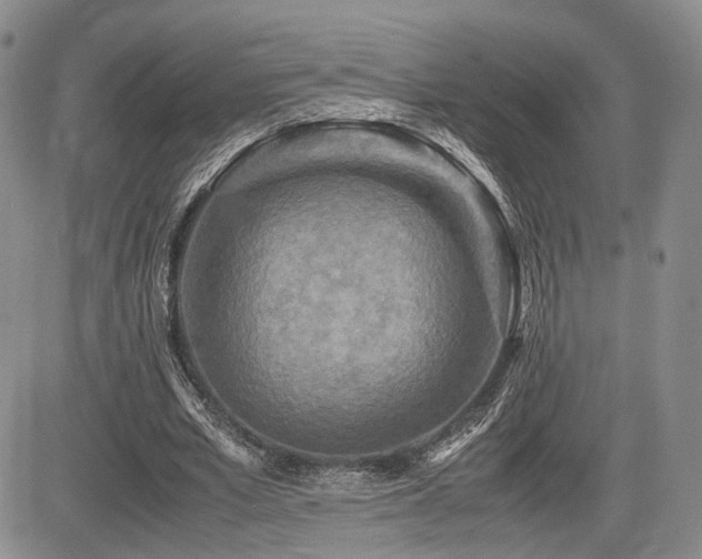 X0000085790581200703161126