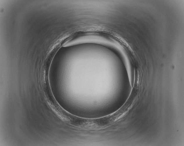 X0000085790589200703161126