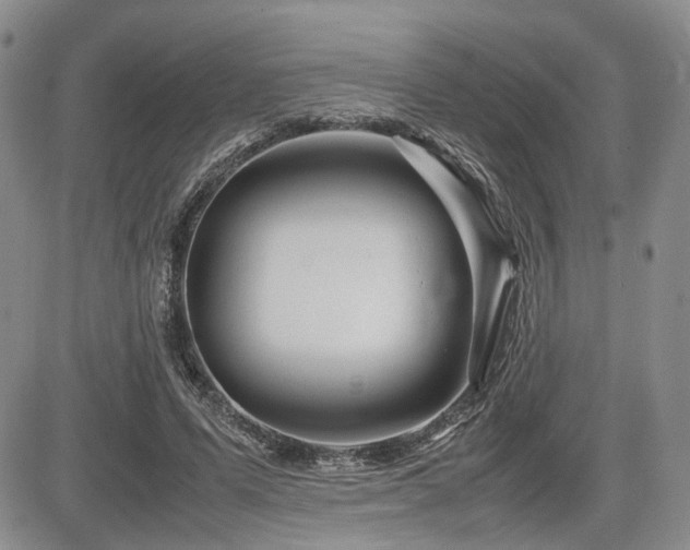 X0000085790591200703161126