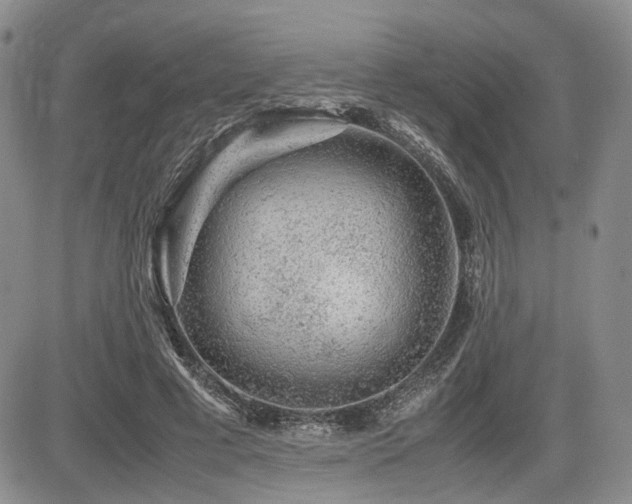 X0000085790593200703161126