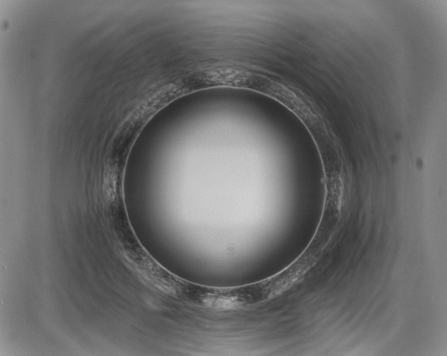 X0000085790602200703161126