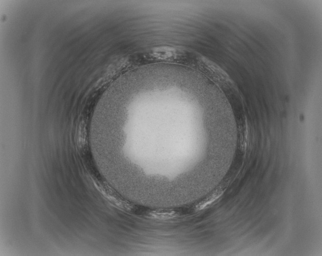 X0000085790606200703161125