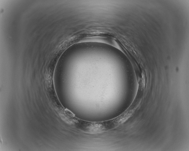 X0000085790609200703161125