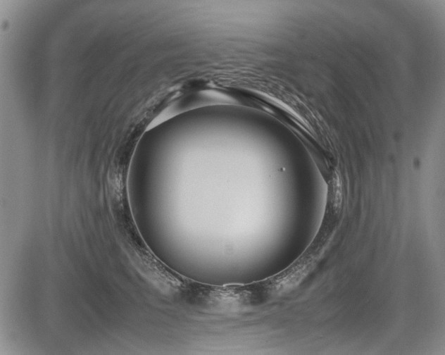 X0000085790613200703161125